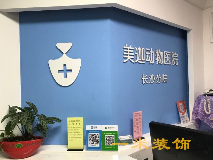 美迦动物医院