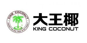 长沙大王椰